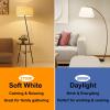 image12Packs ST64 Large Vintage LED Edison Bulbs 60W Equivalent 7W 800Lumens Dimmable Antique LED Filament 2700K Warm White E26 Medium Base Light Bulbs High Brightness Clear Glass for Bedroom OfficeNeutral White