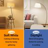 image12Packs ST64 Large Vintage LED Edison Bulbs 60W Equivalent 7W 800Lumens Dimmable Antique LED Filament 2700K Warm White E26 Medium Base Light Bulbs High Brightness Clear Glass for Bedroom OfficeDaylight White