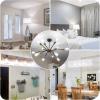 image12Packs ST64 Large Vintage LED Edison Bulbs 60W Equivalent 7W 800Lumens Dimmable Antique LED Filament 2700K Warm White E26 Medium Base Light Bulbs High Brightness Clear Glass for Bedroom OfficeDaylight White
