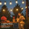 image:imageBesLowe 48FT S14 Solar String Lights Outdoor with Remote Controller Solar Powered Patio Lights Waterproof with LED Edison Bulbs Dimmable Hanging Lights for Outside Backyard Porch USB Rechargeable48FT